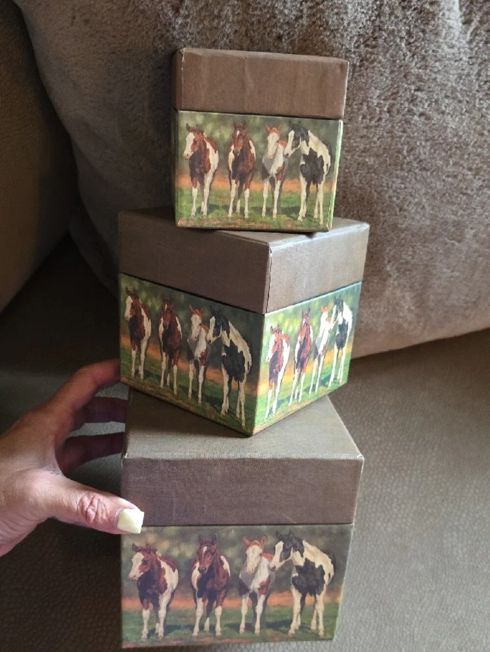 Bob's Boxes: VTG Stacked/ Nesting Storage Boxes w/ Horse Print #4017026